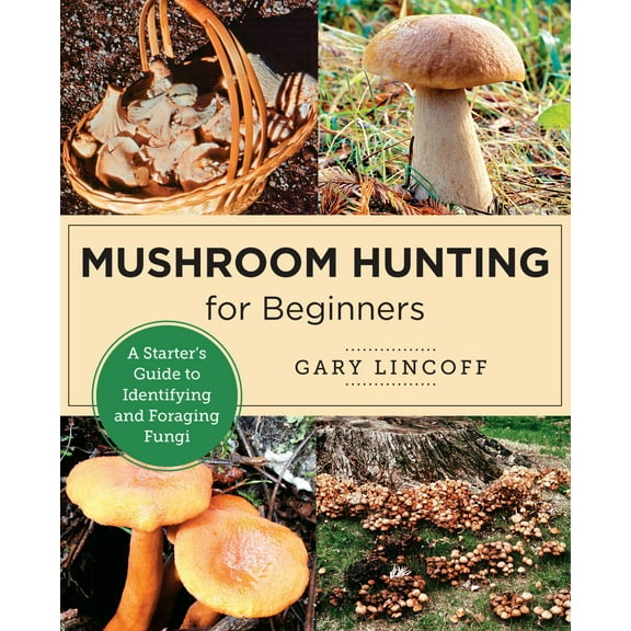 Mushroom Hunting for Beginners: A Starter's Guide to Identifying and Foraging Fungi (Paperback)