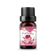 thumbnail image 1 of 10ml Pine Cones Essential oil Christmas Essential oils Christmas Soap,, 1 of 8