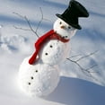 thumbnail image 3 of 13PCS DIY Snowman Making Decorating Dressing Kit Winter Party Kids Toys Christmas Holiday Decoration Gift, 3 of 7