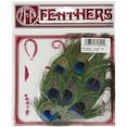 thumbnail image 2 of Peacock Eye Feather Pad, 2 of 2