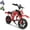 Red, variant on FLYPKIN MT750 Dirt Ride on Motorcycle- Red with Decals,300W Motor up to 10 mph Speed, 2600mAh Battery Electric Dirt Bike for Child 3-10 Yeas