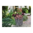 thumbnail image 3 of Suncast 16 Inch Farmington Decorative Rustic Wood Finish Garden Planter, Gray, 3 of 3
