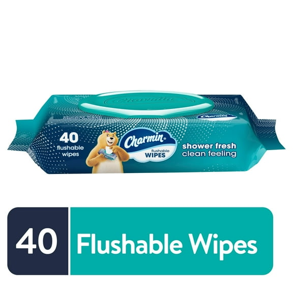 Charmin Flushable Wipes, 40 Flushable Wet  Wipes, 1 Count