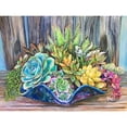 thumbnail image 1 of Pintura de diamante 5D DIY Kit de cactus de taladro redondo completo Decoración del hogar Artesanía Hugtrwg Para estrenar, 1 of 9