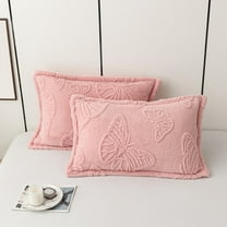 Double Sided Velvet Pillowcases, 2-Pack, Thickened Milk Velvet, Soft & Warm, 74x48cm, Multiple Colors