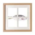 thumbnail image 1 of Océan Poissons Activité Frisée Cadre Mur Table Affichage 4 Ouvertures Image, 1 of 3