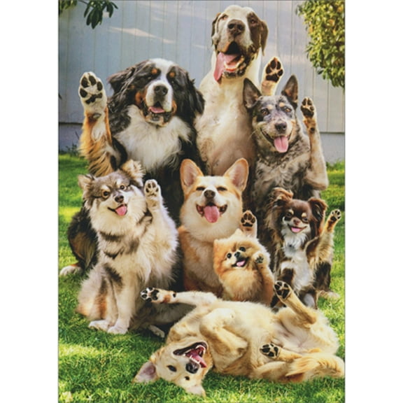 Avanti Press Group of Smiling Dogs with Raised Paws Funny / Cute Birthday Card