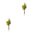 thumbnail image 3 of Ramo de Flores secas naturales Cateissary Elegancia atemporal arreglos de Flores y hojas secas HS-18, 3 of 6