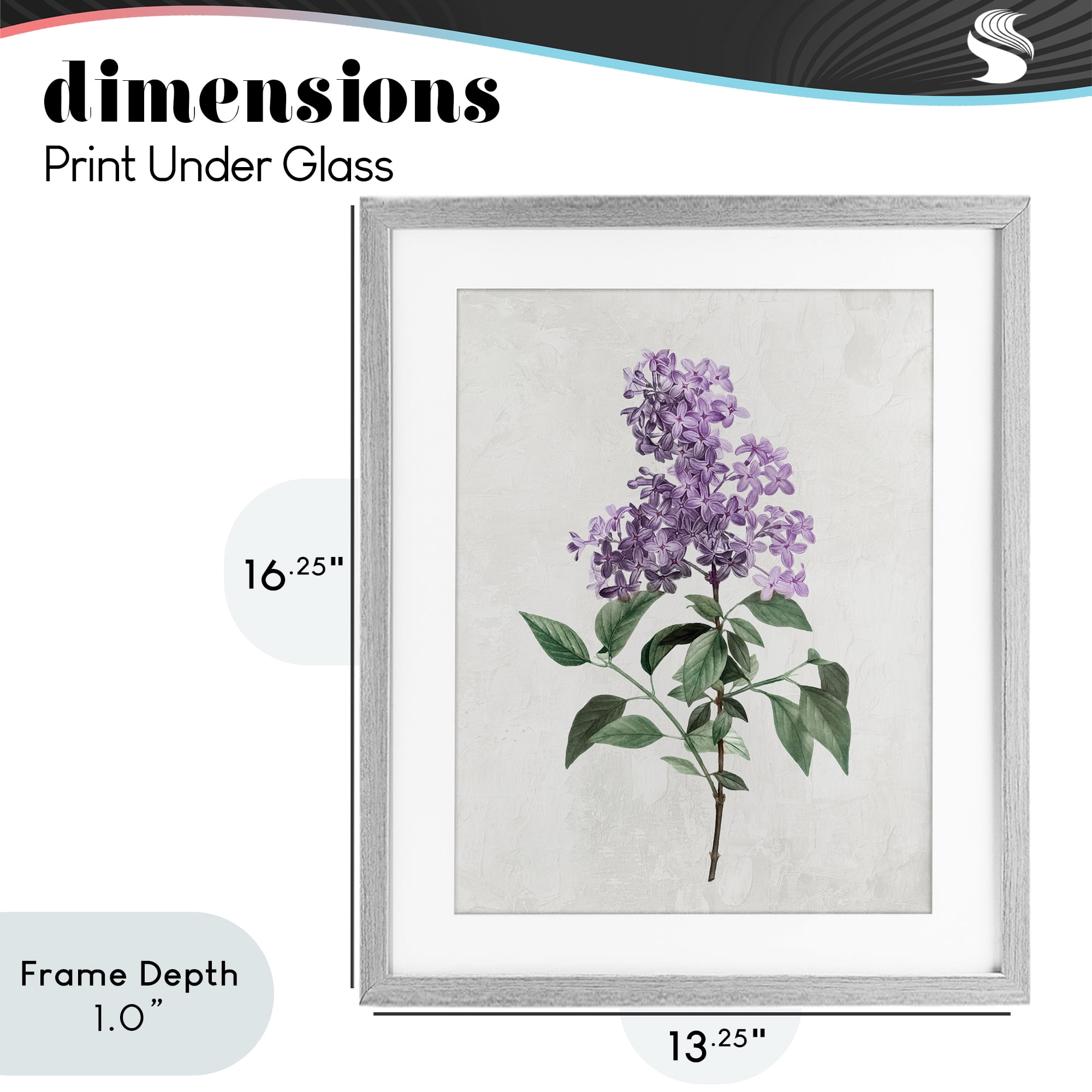Stupell Industries Lilac Herb Blossoms Gray Framed Print Under Glass, design by Kim Allen