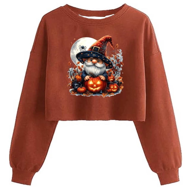 Ailaofu Women's Sweatshirt Fall Halloween Lantern Long Sleeve Pullover Spooky Season Sweatshirt