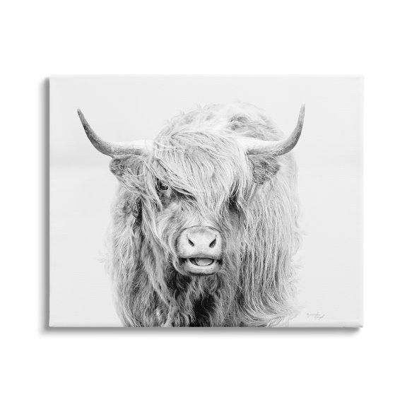 Stupell Industries Expressive Highland Cattle Monochrome Animal Portrait Photograph Gallery Wrapped Canvas Print Wall Art, Design by Jennifer Pugh