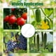 thumbnail image 2 of para Tomates con Cuerda, Clips de Soporte para Plantas, Gancho de Soporte para Tomates para Plantas Trepadoras, para Soporte de Tomates, 2 of 7