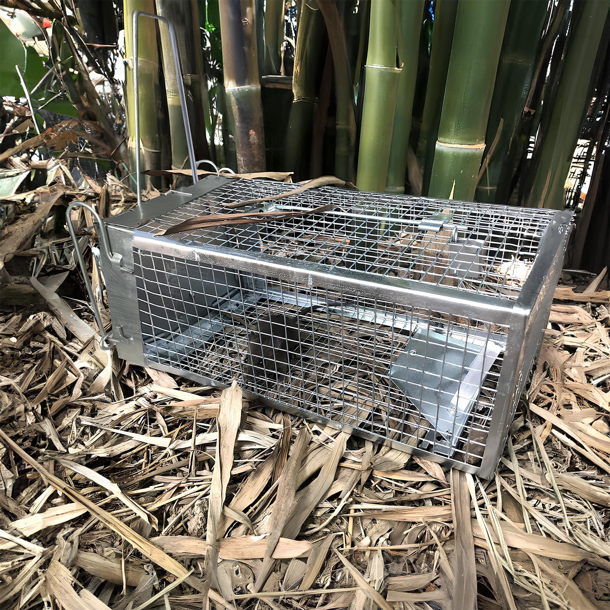 2-Pack Humane Live Catch Mouse Trap Cage, Galvanized Steel Reusable Rodent Trap with Auto Lock Door