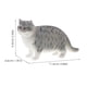 thumbnail image 2 of Figura de gato realista, simulación de gato, adorno de escritorio para el hogar, estatua decorativa de gato., 2 of 7