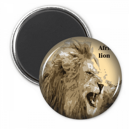 

African Ostrich Biggest Bird Refrigerator Magnet Sticker Decoration Badge