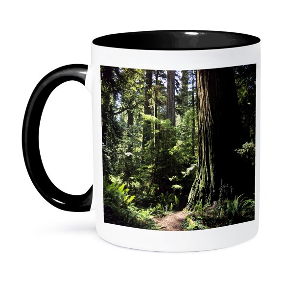 3dRose, Redwood forest in Northern California - US05 DFR0200 - David R. Frazier, 11oz Two-Tone Black Mug