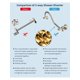 thumbnail image 4 of All Metal Shower Head, 10'' High Pressure Rainfall Shower Head, Showerhead Combo/Handheld Shower Wand, 12'' Adjustable Curved Shower Extension Arm, 71, 4 of 4