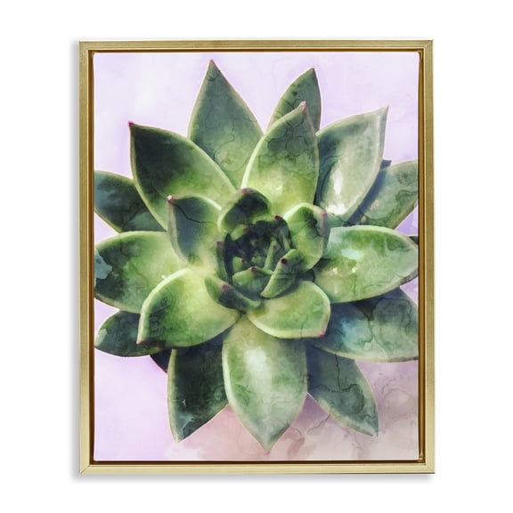 Stupell Industries Contemporary Round Succulent Plant Leaves Gold Floating Frame Canvas Art, 17 x 21, by Lil' Rue