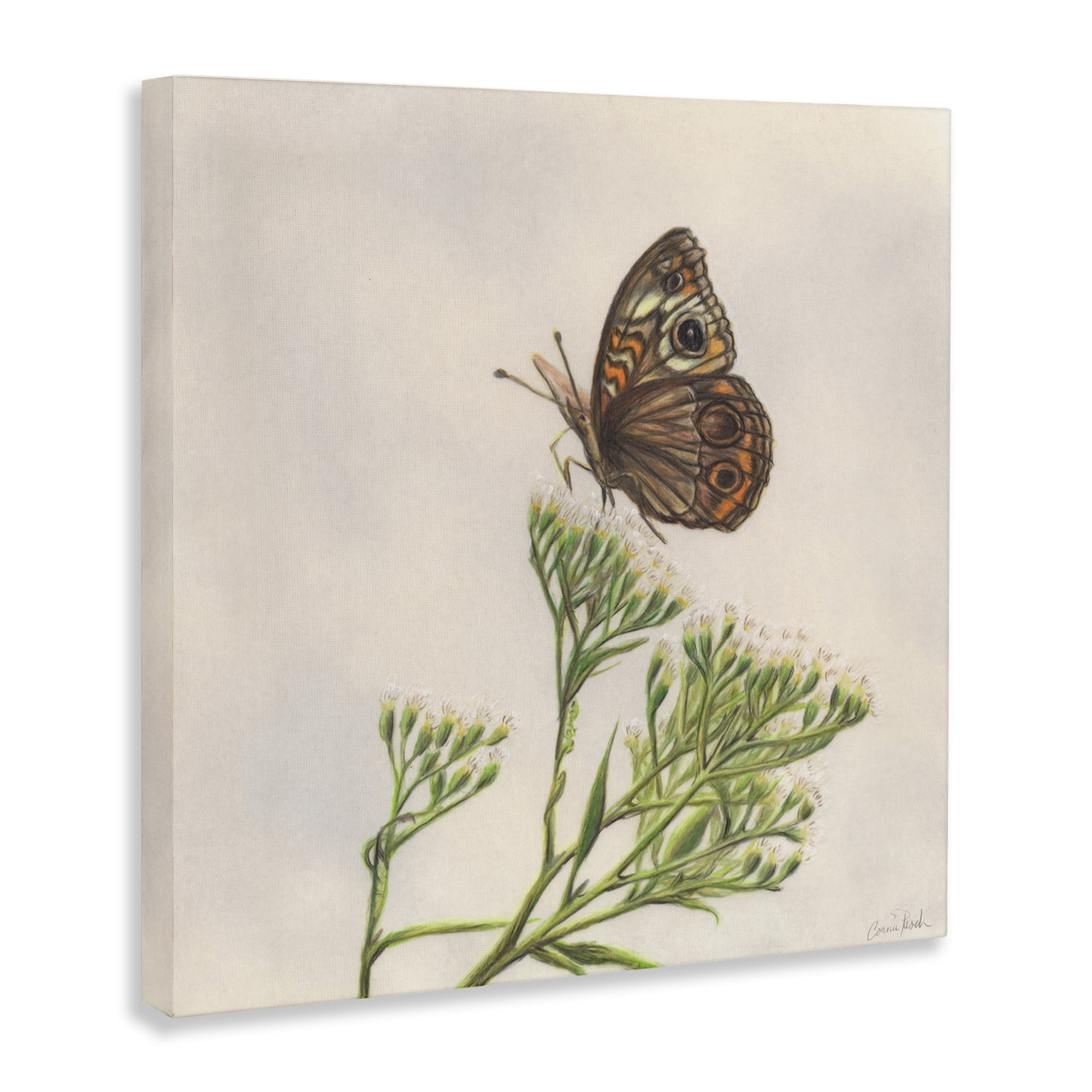 Stupell Industries Spring Offerings Butterfly Animals & Insects Painting Gallery Wrapped Canvas Art Print Wall Art, 30 x 30
