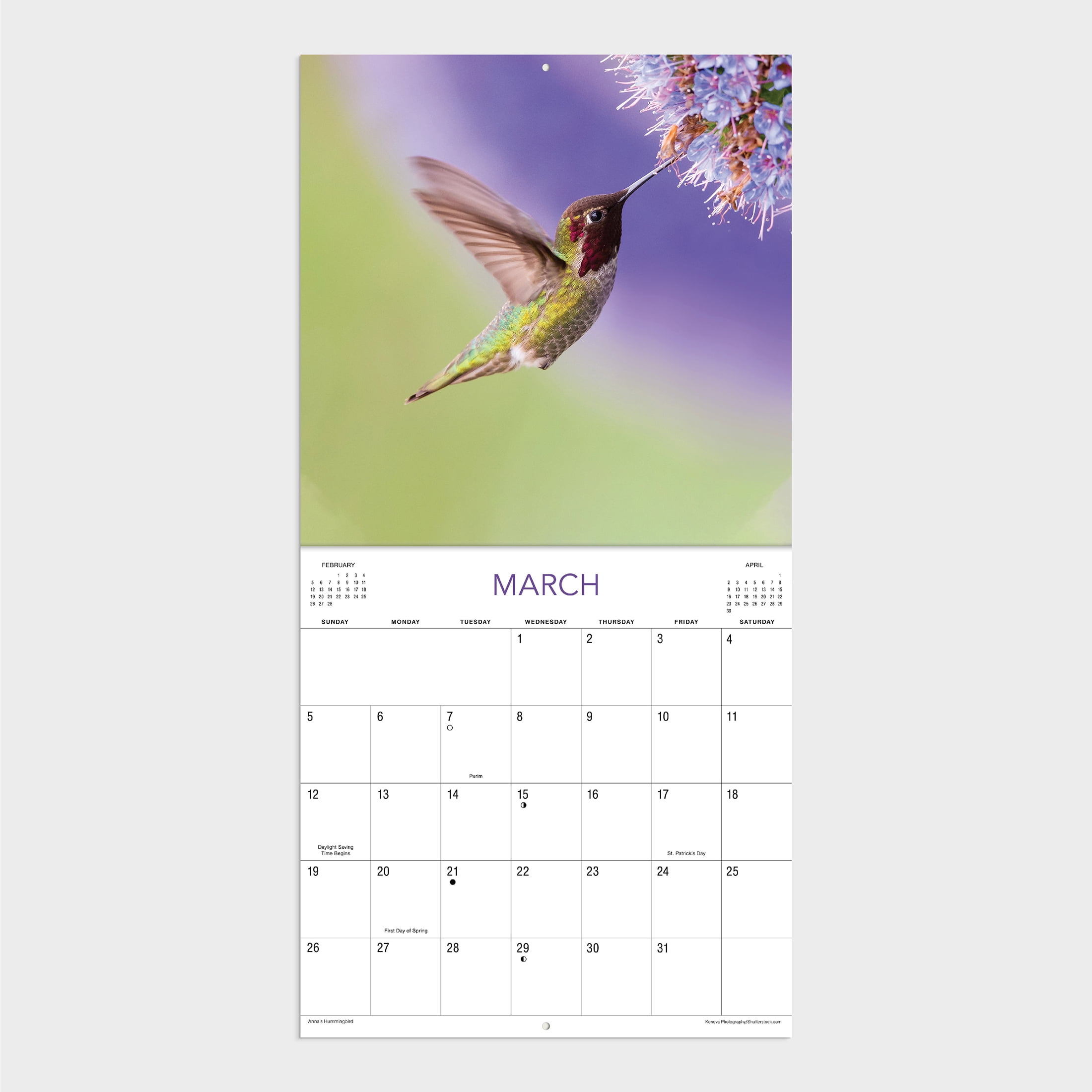 2023-12 Month Calendar- Hummingbirds 12x12 Hanging Wall Calendar by DaySpring