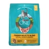 Purina ONE Tender Select Blends Dry Cat Food, Chicken, 16 lb Bag