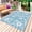 Snow SkyBlue, variant on Pink Blue Floral Outdoor Rug 4x6 Ft - Reversible Patio Rug Outdoor Camping Rugs, Vintage Pastoral Botanical Leaves Washable Indoor Outdoor Area Rugs, Non-Slip Outdoor Carpet Runner for Deck/Porch