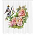 thumbnail image 3 of Ambesonne Garden Art Shower Curtain, Sparrows on Roses, 69"Wx75"L, Multicolor, 3 of 3