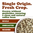 thumbnail image 5 of Organic Nicaragua Arabica Green Coffee Beans, 1.5 Pounds – Unroasted, No-GMO, Vegan, Bulk – by Food to Live, 5 of 7