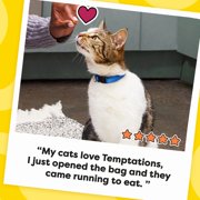 Temptations Classic Cat Treats, Crunchy and Soft Cat Treats, Savory Salmon, 30 oz. Tub