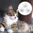 thumbnail image 3 of 1 cuenco para gatos y gatitos., 3 of 3