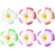 thumbnail image 1 of GOOHOCHY 12 pinzas para el pelo con diseño floral para tocado de fiesta hawaiana, horquillas trenzadas de moda, pinzas elegantes para flequillo, 1 of 7