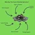 thumbnail image 2 of Chlorella Spirulina Tablets Organic 3000mg Per Serving 50/50 Blend High Protein & Chlorophyll 1440 Tablets, 2 of 5