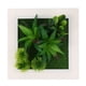 thumbnail image 1 of 1 marco de fotos de plantas artificiales, adorno de pared, decoración suculenta artificial, 1 of 5