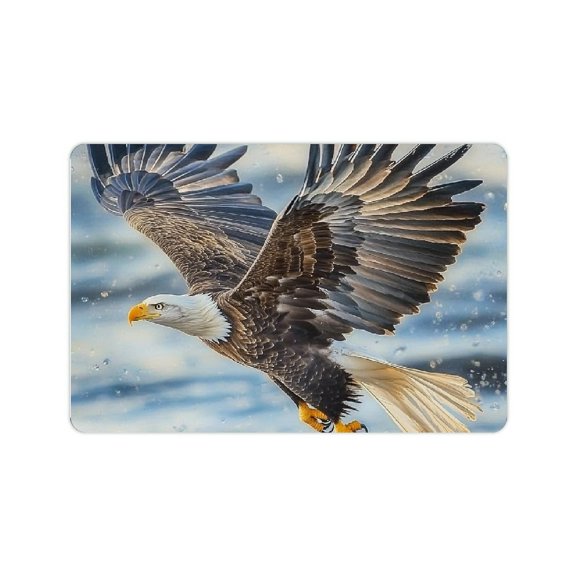 ZFLMY Bald Eagle Diatom Mud Mats Non-Slip Home Bath Rug 24x16in