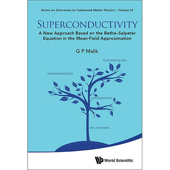 Directions in Condensed Matter Physics Superconductivity: New Approach Base Bethe-Salpeter Equation, Book 21, (Hardcover)