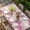 Pink, variant on Pink Ombre Table Cloths for 4 Foot Rectangle Tables, Gradient Abstract Art Vintage Patio Waterproof Elastic Fitted Tablecloths, Washable Rectangular Table Cover for Camping