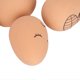 thumbnail image 3 of 2025 Latest Model 7pcs Fake Eggs Rubber Lifelike Elastic Expression Pattern, 3 of 3