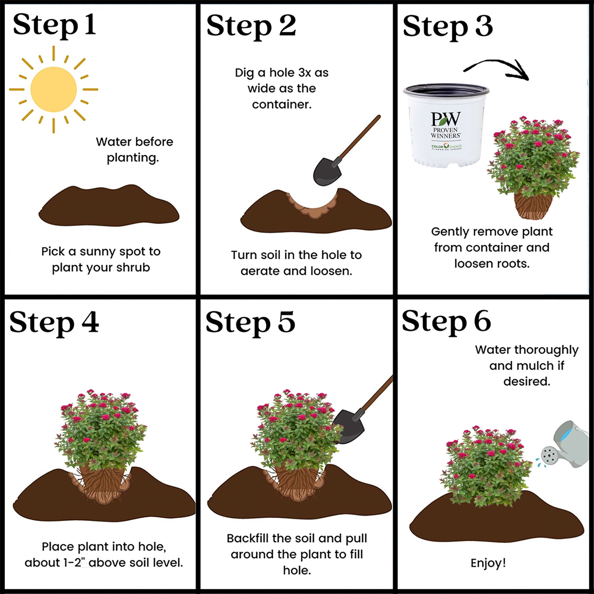 Proven Winners ColorChoice Double Play Doozie Spirea Live Shrub (2 Gallon)