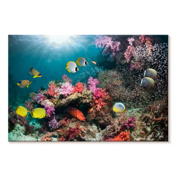 Elephant Stock Andaman Sea Life Wall Art - Horizontal Canvas Wall Art - Living Room Wall Decor - Animal Canvas - Teal And Yellow Decor - 36" x 24"