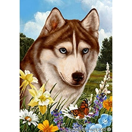 Siberian Husky Red (Blue Eyes) - Best of Breed  Summer Flowers Garden