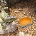 thumbnail image 4 of BEADCEST Comedero Y Bebedero Para Reptiles Y Mascotas En Resina Con Superficie Lisa Marrón, 4 of 6