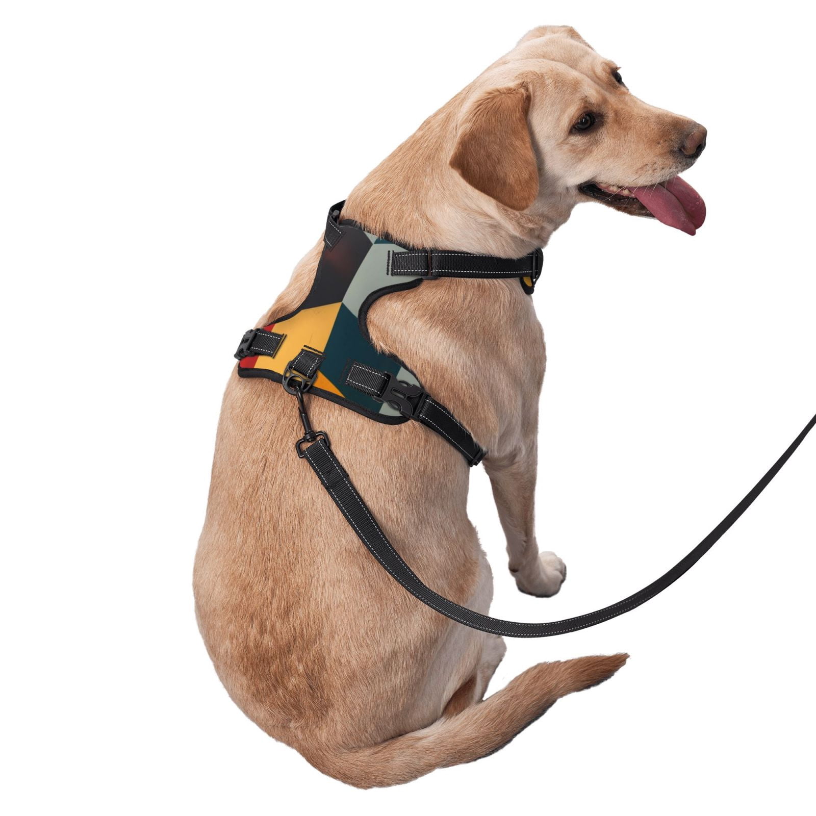 Vsdgher Geometric Cube Pattern Art Dog Harness, No-Pull Pet Harness, Dog Vest, Pet Vest for Small to Large Dogs-Small