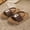 czb# Brown273, variant on CUZIBR Kids Toddler Boys Summer Sandals Elastic Strap Cartoon Dinosaur Graphic Open Toe Breathable Soft Sole Beach Pool Shoes Lightweight Stylish Outdoor Casual Slippers,Brown,1-1.5 Years