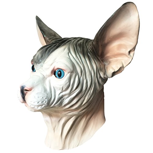 Zivilisation Zitrone Zueinander in Beziehung stehen hairless cat mask