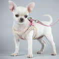 thumbnail image 6 of Pet Artist Winter Warm Fleece Lined Dog Harness and Walking Leash set Pet Cat Puppy Chest Vest for Chihuahua French Bulldog, 6 of 13