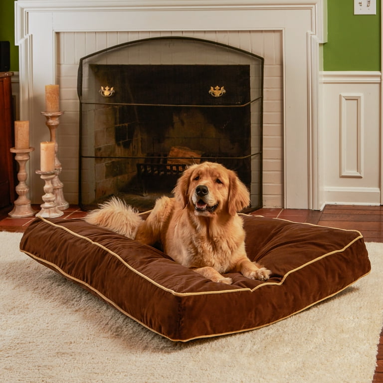Happy Hounds Buster Rectangle Pillow Style Dog Bed, Cocoa, Large