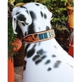 thumbnail image 2 of Medium 17''- 21'' Dog Puppy Collar Genuine Cow Leather Padded Canine  60103, 2 of 5