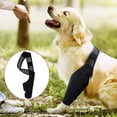 thumbnail image 3 of Férula para patas traseras de perros | Salud de las articulaciones para perros, la envoltura de la articulación del corvejón de la pierna trasera del perro protege las heridas, la abrazadera de compresión cura esquí esquí Gafas de esquí, 3 of 5