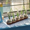 thumbnail image 5 of Plant Terrarium Propagation Station, Glass Planter Bulb Vase with Wooden Tray, Modern Bud Vases for Living Room Office, 5 of 7
