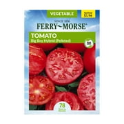 Ferry-Morse 20 Tomato Big Boy Hybrid Vegetable Plants Seeds (1 Pack)- Seed Gardening, Full Sunlight